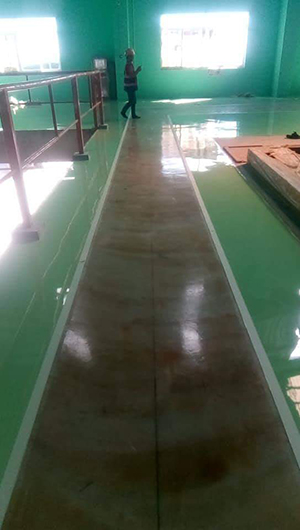 Thi công sơn sàn Epoxy - Chi Nhánh Long An  - Công Ty TNHH Xây Dựng Thương Mại Dịch Vụ Procoat